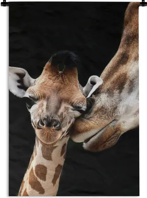 Produktbild von MuchoWow® Wandteppich Wandbehang Giraffe - Tiere - Schwarz - Porträt - Tiere 90x135 cm Tapisserie Dekoration Wandtuch - Baumwolle - Wandskulptur