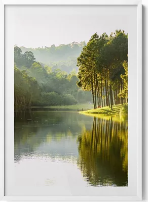 Produktbild von Grüne Flusslandschaft– Wandbild mit Rahmen – Gerahmtes Bild  – Wanddekoration – 70x100 cm –  Weiß Rahmen