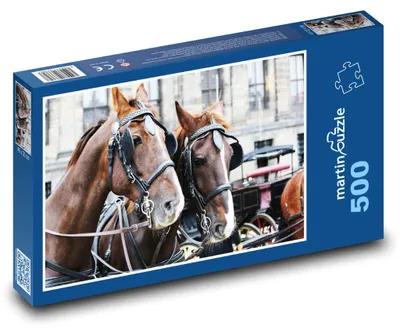 Obrázok produktu pre Puzzle 500 Kone v meste - martinpuzzle