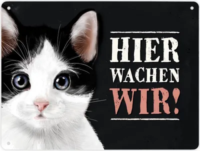 Produktbild von Hier wachen wir! Metallschild XL mit Katze Motiv Schild Blechschild