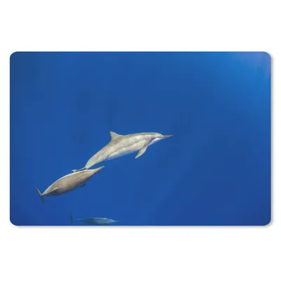 Produktbild von MuchoWow® Mauspad Mousepad Delfin - Tier - Meer 27x18 cm - Mousepads - Maus Mat - Pad - Mausunterlage - Büroartikel - Desk Matten