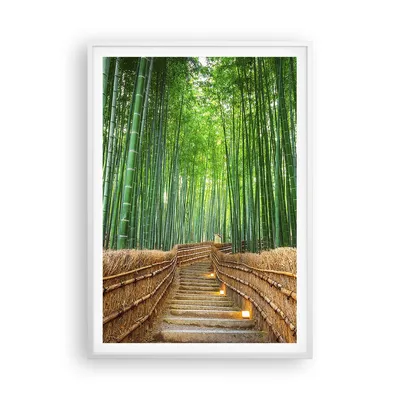 Produktbild von Gerahmtes Poster - Weißer Rahmen - Bambus Pflanze - 70x100 cm - Wand Bild - Wanddeko - Wandbilder - Kunstposter - Wandposter - Bilderrahmen - Bilder - Kunstdruck - Wandbild - P2WPA70x100-3979