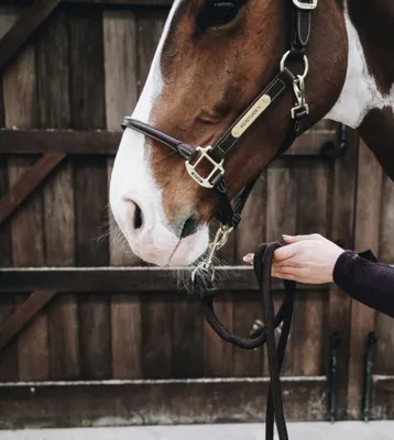 Immagine prodotto di Kentucky Horsewear Anello per corda di piombo nero