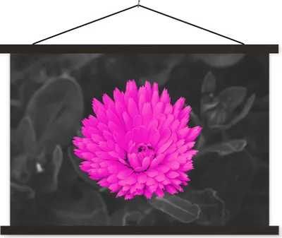 Produktbild von MuchoWow® Textilposter Blumen - Aquarell - Rosa 150x100 cm mit schwarzem Rahmen - Schlafzimmer