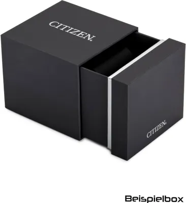 Obrázek produktu pro Pánské hodinky - Citizen Model: NH9131-14E