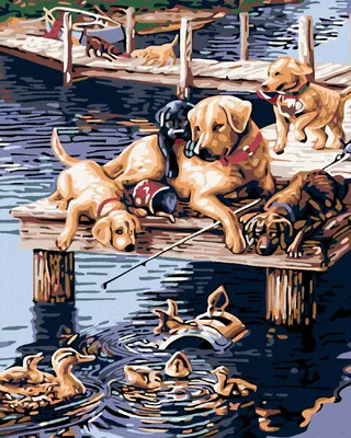 Immagine prodotto di Zuty - Pittura con numeri - CANI SULLO STEG, 40x50 cm, senza telaio