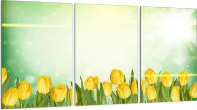 Produktbild von Glasschutzplatte für Herd 3x30x52