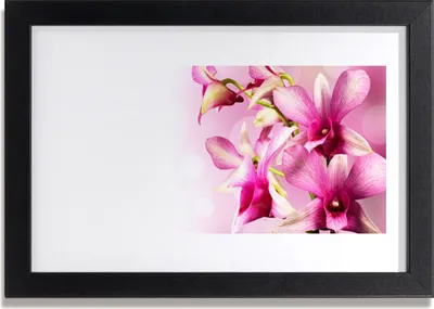 Produktbild von Bild 30x20 MDF-Rahmen Wandkunst Blumen Pflanzen Natur