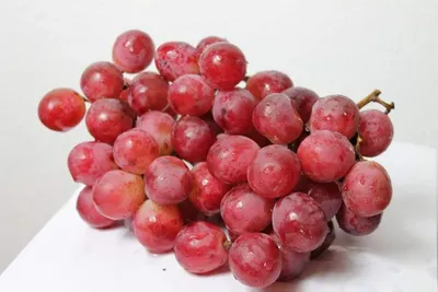 Produktbild von Weintraube Erdbeerstraube - Vitis vinifera -  Tafeltraube