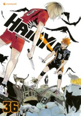 Obrázok produktu pre Haikyu!! - Band 36