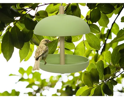 Produktbild von Decoris Vogelfuttersilo - zum Aufhangen - grun - Bambus - 25 cm