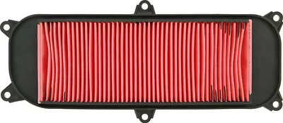 Image de Filtre à air pour Kymco People 250 (03-)