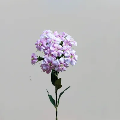Produktbild von artplants.de Künstliche Blume Bartnelke SUSILAWA, rosa-violett, 55cm - Unechte Nelke