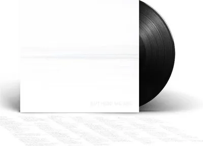 Immagine prodotto di Foo Fighters - Ma siamo qui (LP)