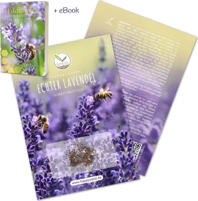 Produktbild von 300x Lavendel Samen mit hoher Keimrate - Vielseitig einsetzbare Heilpflanze & ideal für Bienen und Schmetterlinge (inkl. GRATIS eBook)