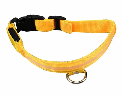 Obrázok produktu pre APT AG232 LED Svietiaci obojok S, 32 - 37 cm žltá