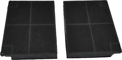 Immagine prodotto di Filtro a carbone attivo Electrolux MCFE16ST/ 9029866028 di AllSpares (2 pezzi)