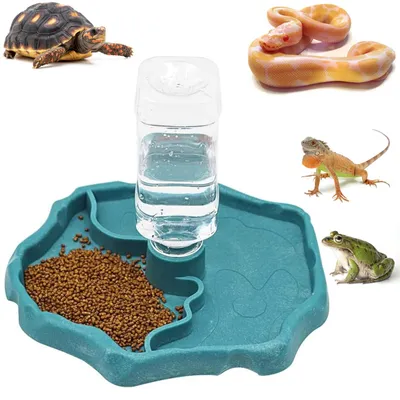 Produktbild von Futter- und Wasserbehälter für Reptilien als Haustiere