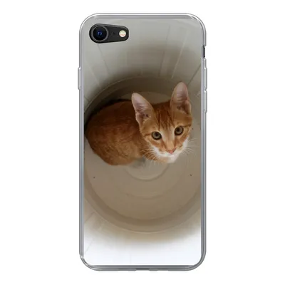 Produktbild von MuchoWow® Handyhülle Schutzhülle Hülle für iPhone 8 Katze - Mülleimer - Weiß Silikon Softcase Handy Hülle - Schutzhaube
