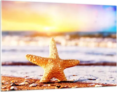 Produktbild von Bilder auf glas - Starfish Strand Sand Ozean - 120x80cm - Glasbilder - Wandbilder - Kunstdruck - zum Aufhängen bereit - Wanddekoration aus Glas - Glas Bilder - Wandbild auf Glas - GAA120x80-2815
