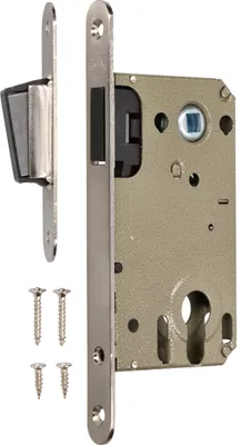 A lock mechanism and strike plate with screws, isolated on a white background.