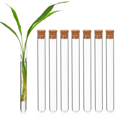 Productafbeelding van Set van 8 reageerbuizen, rond, met kurkprop, transparant, voor experimenten