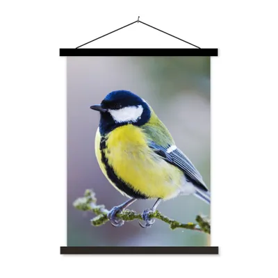 Produktbild von MuchoWow® Textilposter Kohlmeise - Vogel - Zweig 40x53 cm mit schwarzem Rahmen - Abbildung