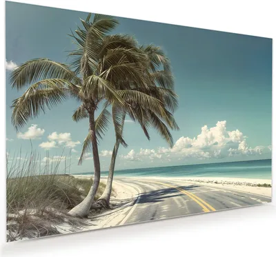 Produktbild von Glasbild 75x50cm in XXL für Wohnzimmer, Schlafzimmer Motiv Strandstraße Palmen