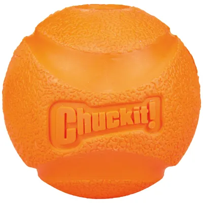 Zdjęcie produktu dla Chuckit Fetch Ball M 6 cm 1 opakowanie