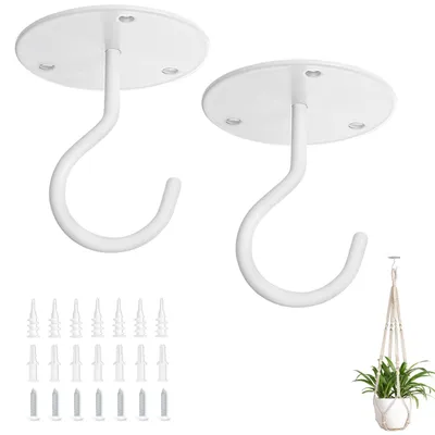 Image de Supports muraux en métal pour plantes suspendues, crochets de fixation pour plantes d'intérieur