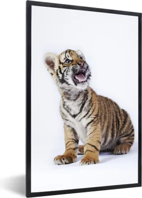 Produktbild von MuchoWow® Gerahmtes Poster Tiger - Jungtier - Tier 60x90 cm - Poster mit Schwarzem Bilderrahmen Wandposter Rahmen Foto Bilder - Kunst