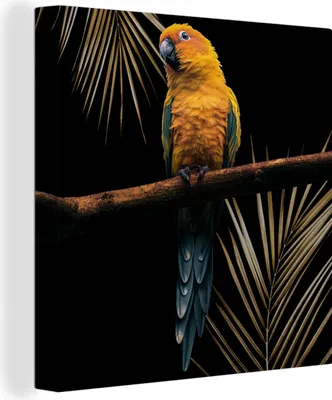 Produktbild von MuchoWow® - Leinwandbilder - Vogel - Papagei - Zweig - Farn, Wandbild, Wanddeko Bilder Wohnzimmer, 90x90 cm