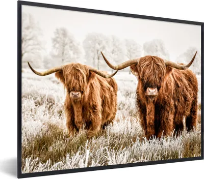 Produktbild von MuchoWow® Gerahmtes Poster Schottischer Hochländer - Kuh - Tiere - Natur - Heidekraut 80x60 cm - Poster mit Schwarzem Bilderrahmen Wandposter Rahmen Foto Bilder - Schwarzem - Mit Gestell