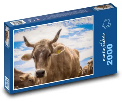 Produktbild von Puzzle 2000 Bauernhofkuh auf der Farm - martinpuzzle
