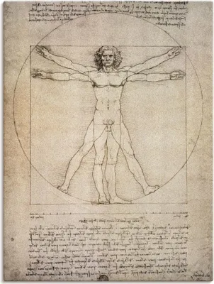 Produktbild von ARTland Leinwandbild Proportionszeichnung, nach Vitruv. 1490 Größe: 60x80 cm