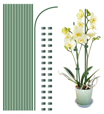 Image de Poteaux de support pour plantes avec clips, lot de 20, pour intérieur et extérieur