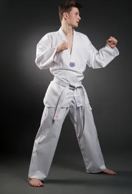 Produktbild von Orkan Taekwondo Anzug mit Rückendruck 150