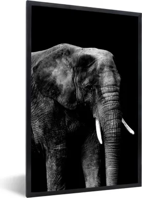 Produktbild von MuchoWow® Gerahmtes Poster Elefant auf schwarzem Hintergrund - schwarz und weiß 20x30 cm - Poster mit Schwarzem Bilderrahmen Wandposter Rahmen Foto Bilder - Drucken - Bilder Poster im Rahmen