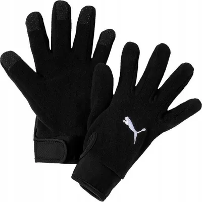 Produktbild von Puma - Herren/Damen Unisex Winterhandschuhe "Team Liga 21" PP198 (L-XL) (Schwarz)