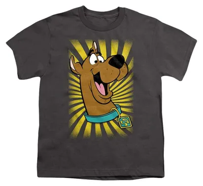 Image de T-shirt Scooby Doo pour enfants, modèle TV37864 (taille 152-158), couleur anthracite