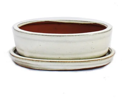 Produktbild von Bonsai-Schale mit Unterteller Gr. 2 - hellbeige - oval - Modell O7 - L 15,5cm - B 12cm - H 4,5cm
