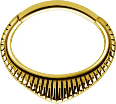 Produktbild von Karisma Edelstahl 316L Hinged Septum/Daith Clicker Ring Ohrring Nase BSDX3 - Gold
