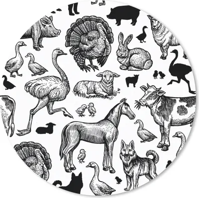 Produktbild von MuchoWow® Mauspad Mousepad Muster - Tiere - Schwarz und weiß 20x20 cm - Mousepads - Maus Mat - Pad - Mausunterlage - Schreibtischmatte