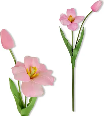 Produktbild von Zweig - Rosa Schaumtulpe 53 cm