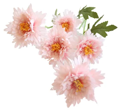 Produktbild von 5 künstliche Blütenköpfe, hochwertiges Seidenmaterial, realistische Textur, naturgetreue Bellis Perennis, flexible Stiele, pflegeleichte Kunstblume