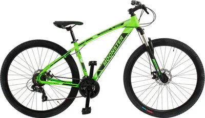 Produktbild von 95 VELOmarche Mountainbike 29 Zoll MOONSTER