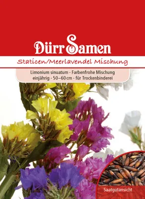 Produktbild von Staticen Meerlavendel Mischung | Lavendelsamen von Dürr Samen