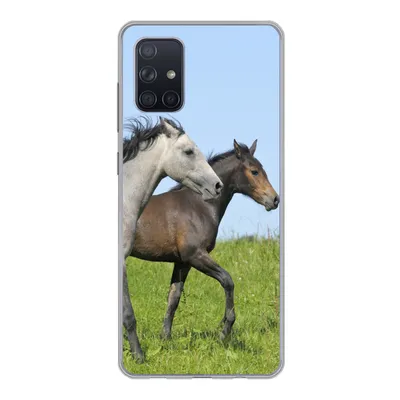 Produktbild von MuchoWow® Handyhülle Schutzhülle Hülle für Samsung Galaxy A51 5G Pferde - Tiere - Gras Silikon Softcase Handy Hülle - Abbildung