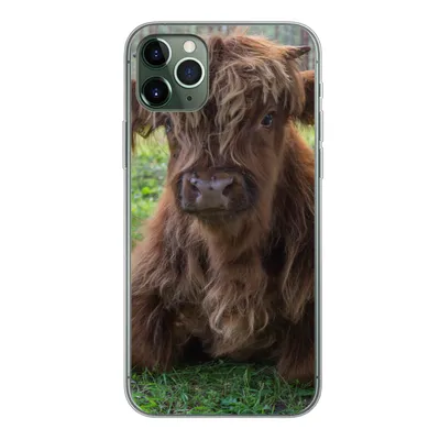 Produktbild von MuchoWow® Handyhülle Schutzhülle Hülle für iPhone 11 Pro Max Schottischer Highlander - Kröte - Tiere Silikon Softcase Handy Hülle - Schutz