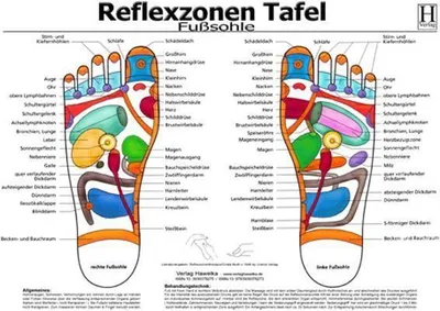 Produktbild von Fussreflexzonen Tafel. Fusssohle. DIN A3